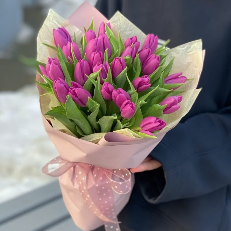 25 Purple Tulips