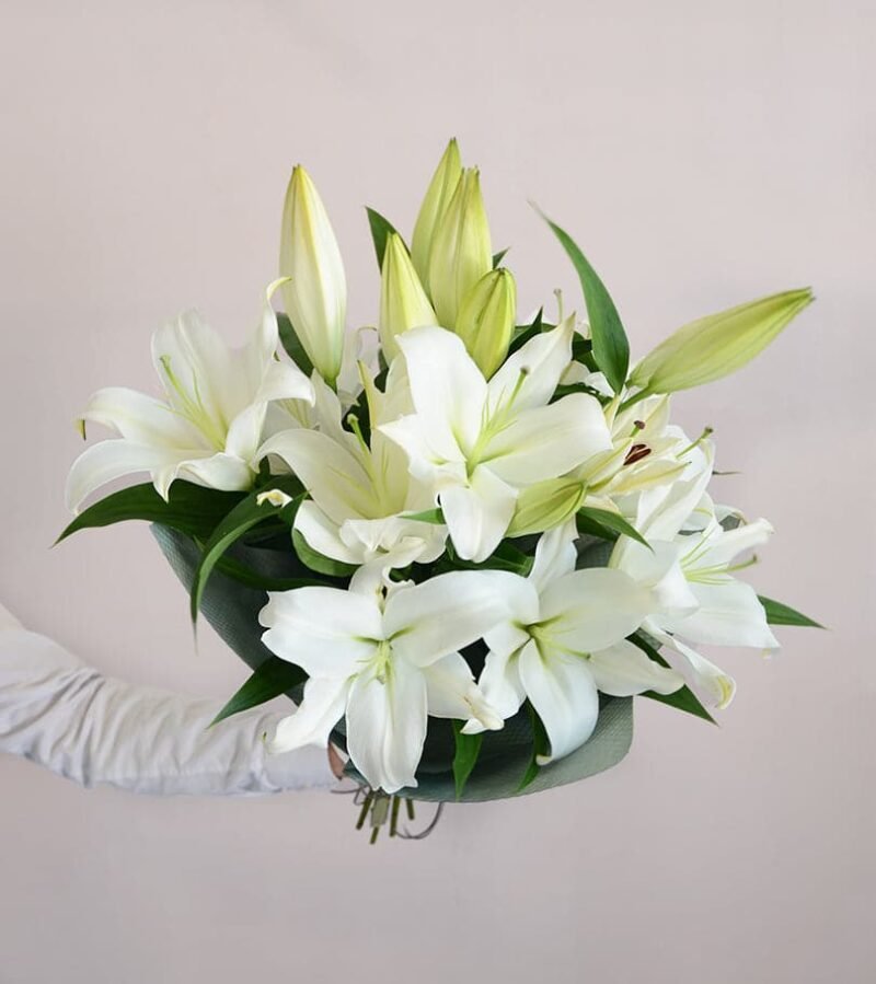 White Lily